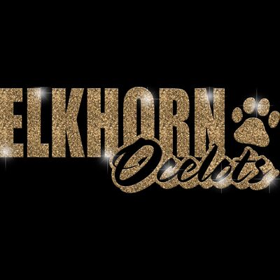 GLT1 GOLD GLITTER Thumbnail